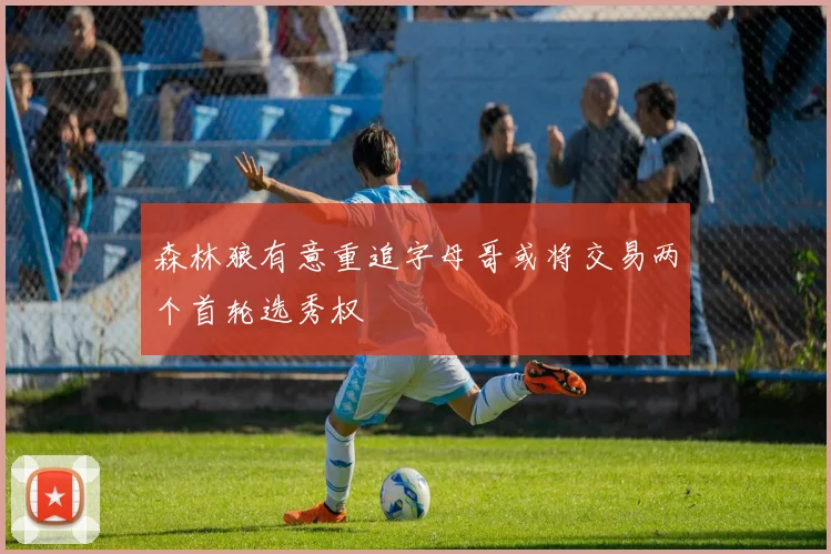 森林狼有意重追字母哥或将交易两个首轮选秀权